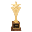 3 1/2" x 10" Modern Goldtone Star Casting on a Walnut Finish Base with Laserable Black Brass Plate