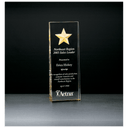 2 7/8" x 8" Constellation Series Etched Star with Gold Paint-Filled and Mirrored Bottom Acrylic