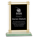 7 1/2" Contemporary Glass Full Border Award