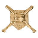 Gold Crossed Bats Metal Chenille Letter Insignia