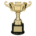Gold 8 1/2" Completed Metal Cup Trophy on Plastic Base