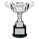 Silver 8 1/2" Completed Metal Cup Trophy on Plastic Base