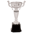 Silver 2 10" Completed Metal Cup Trophy on Plastic Base