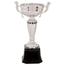 Silver 2 11 1/2" Completed Metal Cup Trophy on Plastic Base
