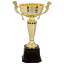 Gold 2 13" Completed Metal Cup Trophy on Plastic Base