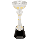 Silver/Gold 9 3/4" Completed Metal Cup Trophy on Plastic Base