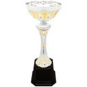 Silver/Gold 2 12" Completed Metal Cup Trophy on Plastic Base
