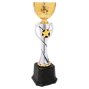 12 1/4" Silver/Gold Completed Metal Cup Trophy