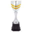 11" 11" Completed Metal Cup Trophy on Plastic Base