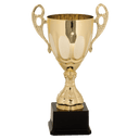 Gold 3 13" Completed Metal Cup Trophy on Plastic Base