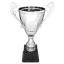 Silver 11" Completed Metal Cup on Plastic Base