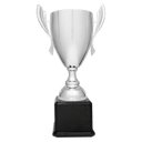 Silver Completed Metal Cup Trophy on Black Royal 2 22" Piano Finish Base