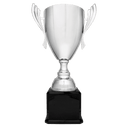 Silver Completed Metal Cup Trophy on Black Royal 2 26 1/2" Piano Finish Base