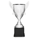 Silver Completed Metal Cup Trophy on Black Royal 22" Piano Finish Base