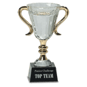7 1/4" Crystal Cup with Gold Handles and Stem