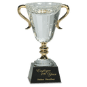 10" Crystal Cup with Gold Handles and Stem