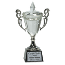 11 1/4" Crystal Cup with Silver Handles and Stem