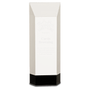 9 1/2" Clear Crystal Self-Standing Rectangle on Black Base