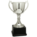 Silver 11" Completed Zinc Cup Trophy