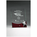8" x 10" Freestanding Glass Award with High Gloss Rosewood Accent and Silver Star