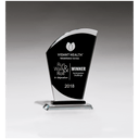 5 1/8" x 8" Sail Shaped Glass Award with Black Center