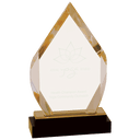 Gold 8" Fusion Diamond Impress Acrylic with Glass Base