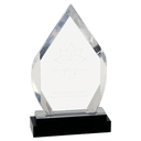 Silver 8" Fusion Diamond Impress Acrylic with Glass Base