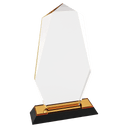 Gold 9" Octagon Point Impress Acrylic