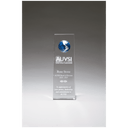 2 3/4" x 8" Crystal Trophy with Blue Globe