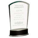 Jade Fan Metro Glass with Silver and Black 8 3/4" Piano Finish Base