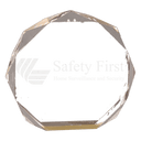 Gold 5" Octagon Acrylic Award