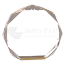 Gold 7" Octagon Acrylic Award