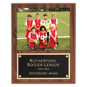 12" x 15" American Walnut Finish Photo Plaque with Black Brass Plate-Holds 8" x 10" Photo