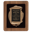 Walnut Frame w/Black Velour Back/Bronze Finish Frame/Black Brass 14" x 17" American Plate