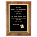 9" x 12" Coventry Series American Walnut Plaque with Gold Florentine Border Textured Black LaserFX Plate