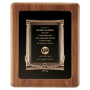 Walnut Frame w/Black Back/Antique Bronze Cast Frame/Black Brass 14" x 17" American Plate