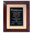 12" x 15" Airflyte Cherry Finish Frame wtih Gold Metal Background and Black and Gold LaserFX Florentine Border Plate