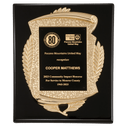 10 1/2" x 13" Black High Gloss Plaque with Metal Gold Scroll Frame Casting with Black LaserFX Plate