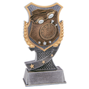 6" Swimming Shield Award