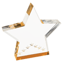 Gold 5" Star Performer Acrylic