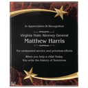 Red 9" x 11" Marble Shooting Star Acrylic Plaque